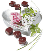 liens vers des sites de chocolatiers ou amis